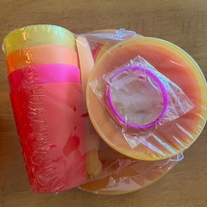 New Pier One Soleil Collection plastic picnic dinnerset